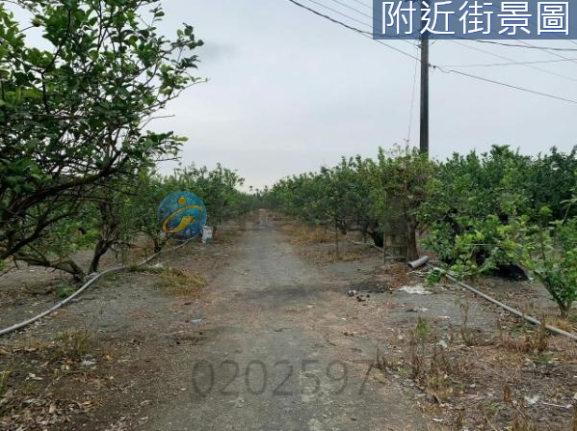 螢幕擷取畫面 2025-04-18 153002